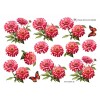 3D ark Røde sommerblomster