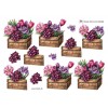 3D ark Forårsblomster i kasse