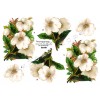 3D ark hvide blomster
