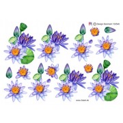 3D ark Blå lotusblomst