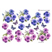 3D ark Petunia