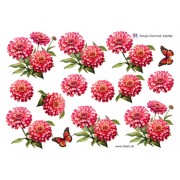 3D ark Røde sommerblomster