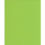 Karton A4 løvgrøn