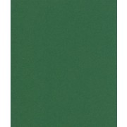 Karton A4 grangrøn