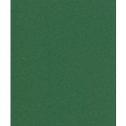 Karton A5 grangrøn