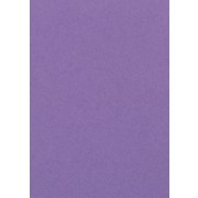 Karton A4  lilla / purpur