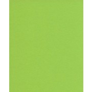 Karton A5 løvgrøn